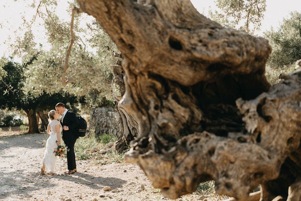 mallorca elopement ideas - olive grove